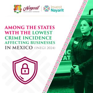 KPI-Seguridad